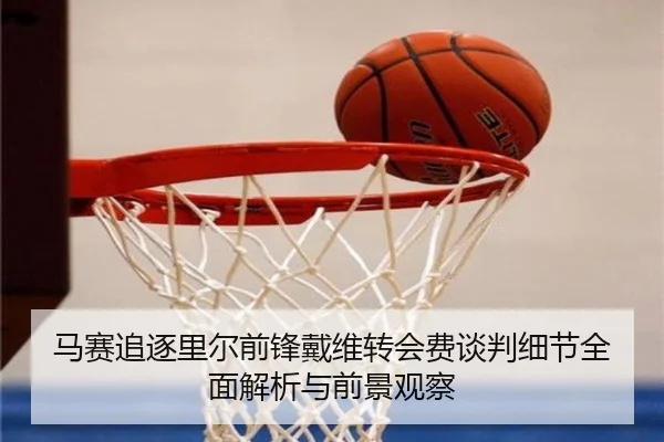 马赛追逐里尔前锋戴维转会费谈判细节全面解析与前景观察